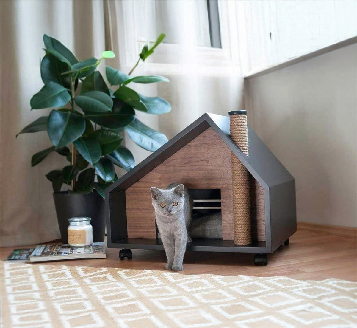 بيت الحيوانات الأليفة